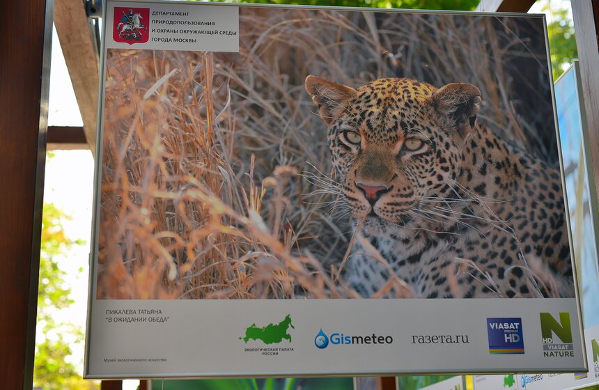 Фотовыставка под открытым небом "Природа смотрит на тебя" 5 фото