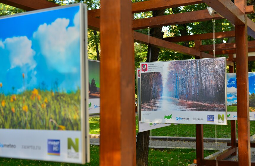 Фотовыставка под открытым небом "Природа смотрит на тебя" 7 фото