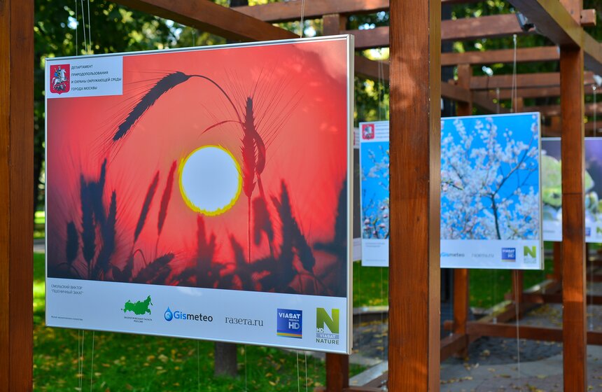 Фотовыставка под открытым небом "Природа смотрит на тебя" 15 фото