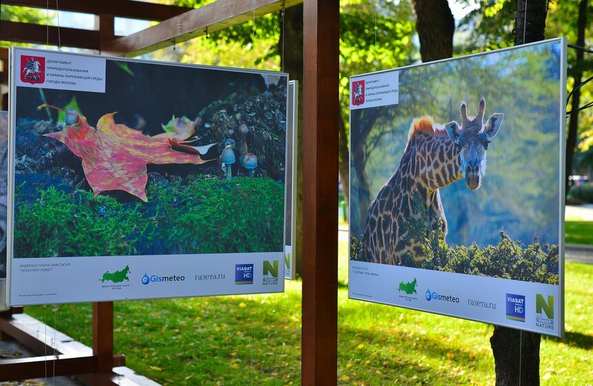 Фотовыставка под открытым небом "Природа смотрит на тебя" 10 фото