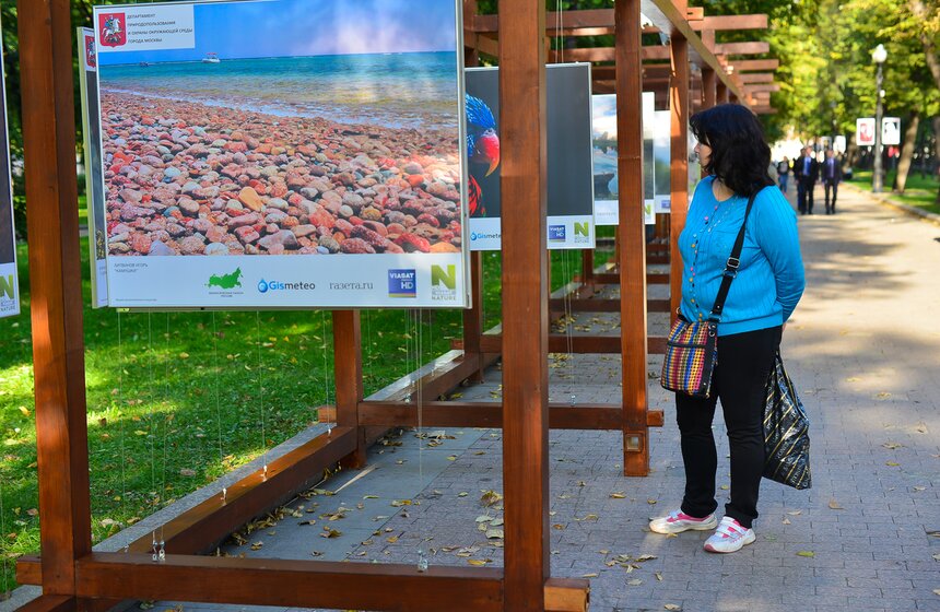 Фотовыставка под открытым небом "Природа смотрит на тебя" 9 фото