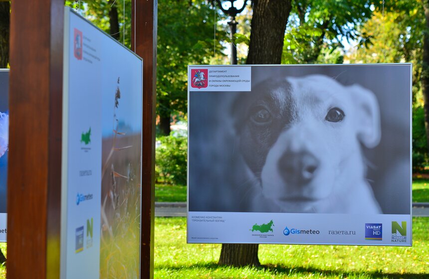 Фотовыставка под открытым небом "Природа смотрит на тебя" 8 фото