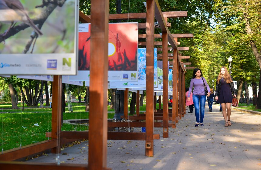 Фотовыставка под открытым небом "Природа смотрит на тебя" 13 фото