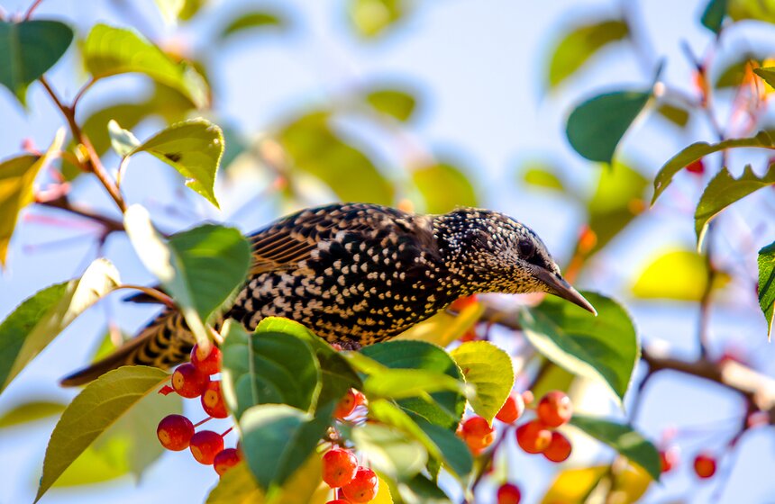 Опять +25: бабье лето в столице 22 фото