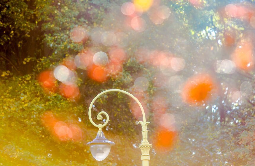 Опять +25: бабье лето в столице 15 фото