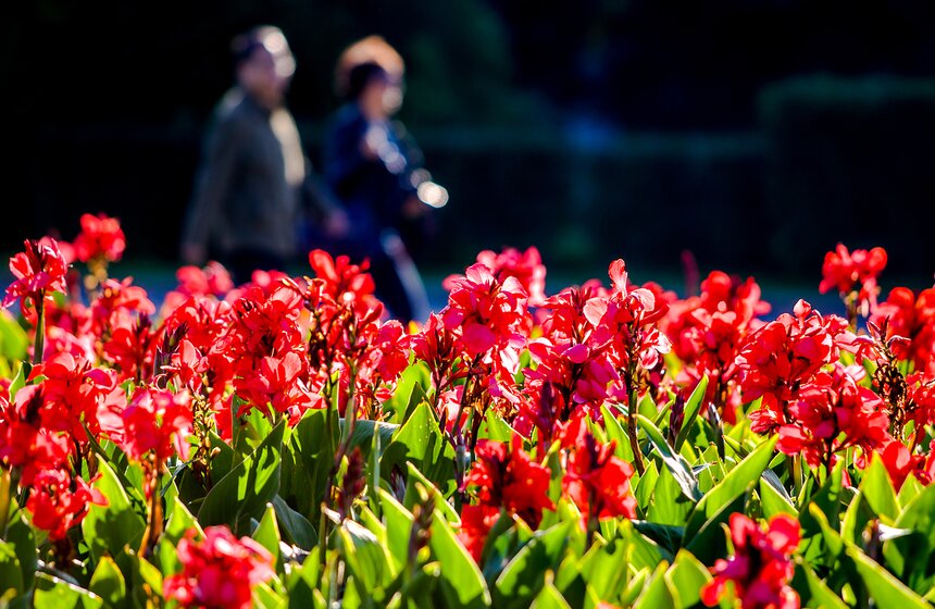 Опять +25: бабье лето в столице 11 фото