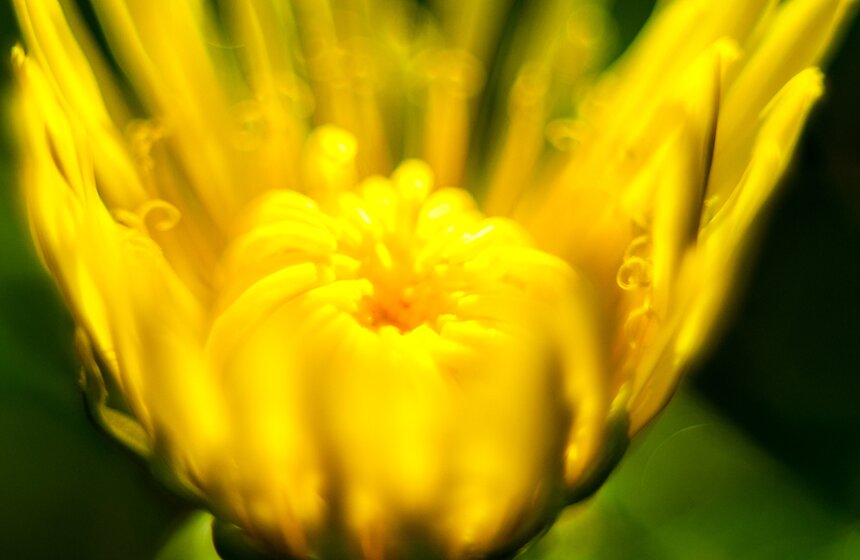 Опять +25: бабье лето в столице 10 фото