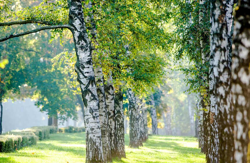 Опять +25: бабье лето в столице 13 фото