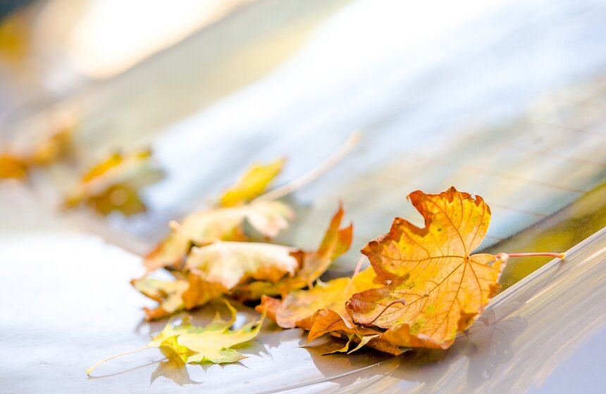 Опять +25: бабье лето в столице 17 фото