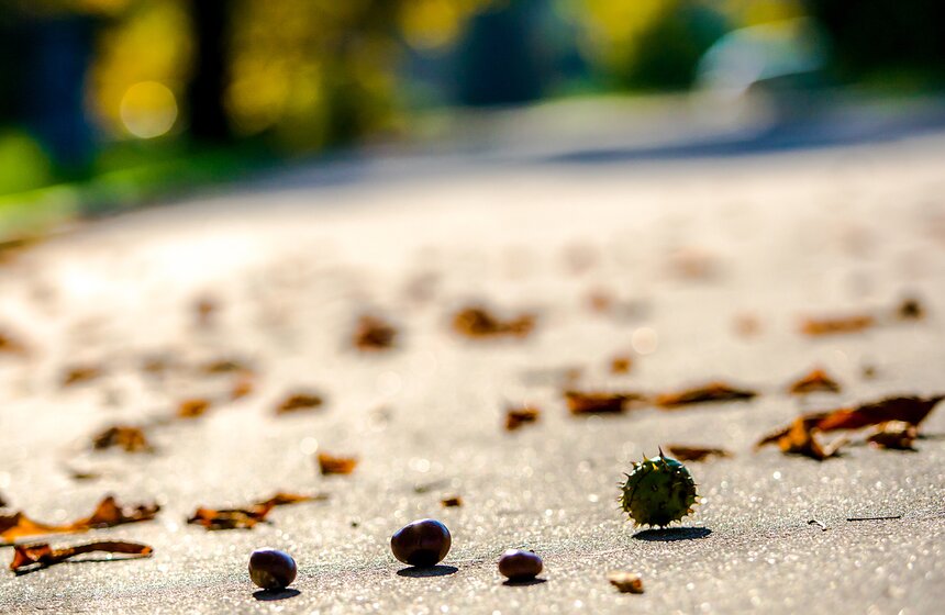 Опять +25: бабье лето в столице 20 фото