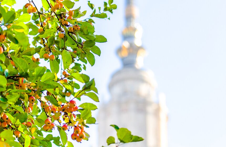 Опять +25: бабье лето в столице 18 фото