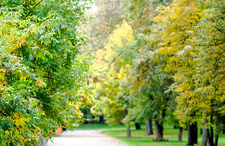 Опять +25: бабье лето в столице 1 фото