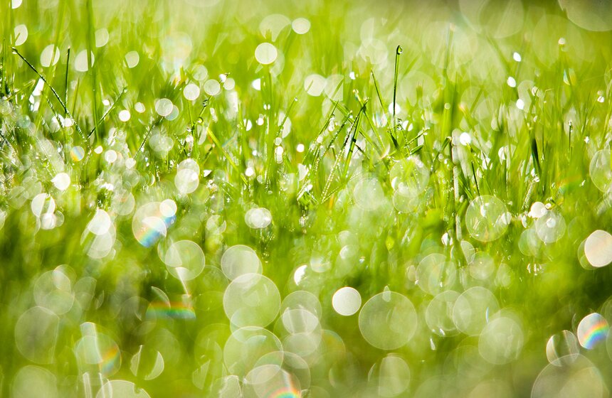 Опять +25: бабье лето в столице 8 фото