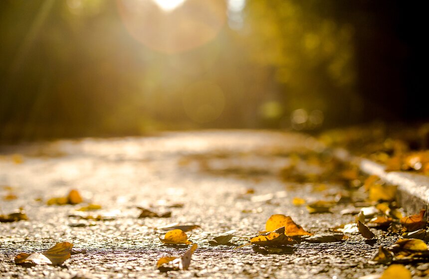 Опять +25: бабье лето в столице 4 фото