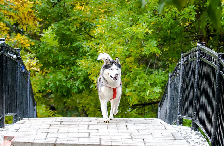 Опять +25: бабье лето в столице 2 фото