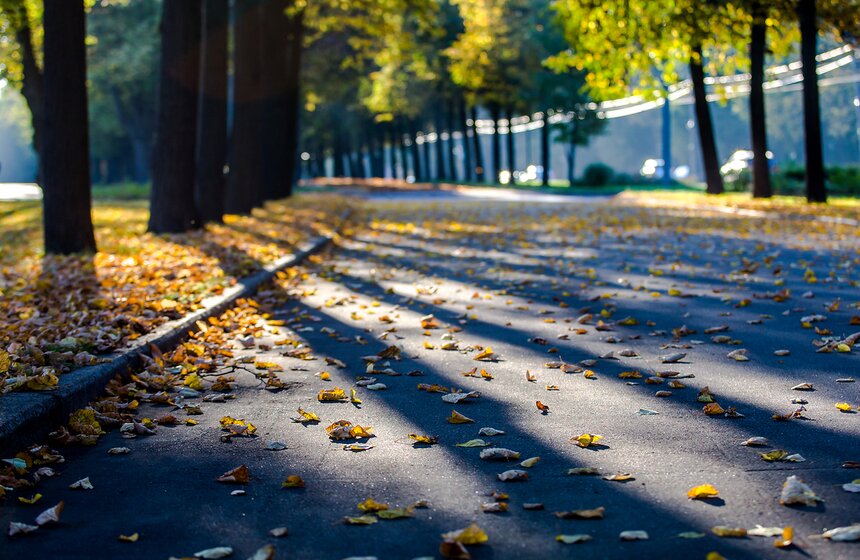 Опять +25: бабье лето в столице 6 фото