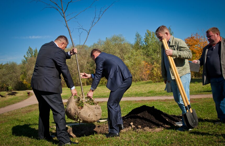 Акция по высадке деревьев в честь 25-летия ФАС 7 фото