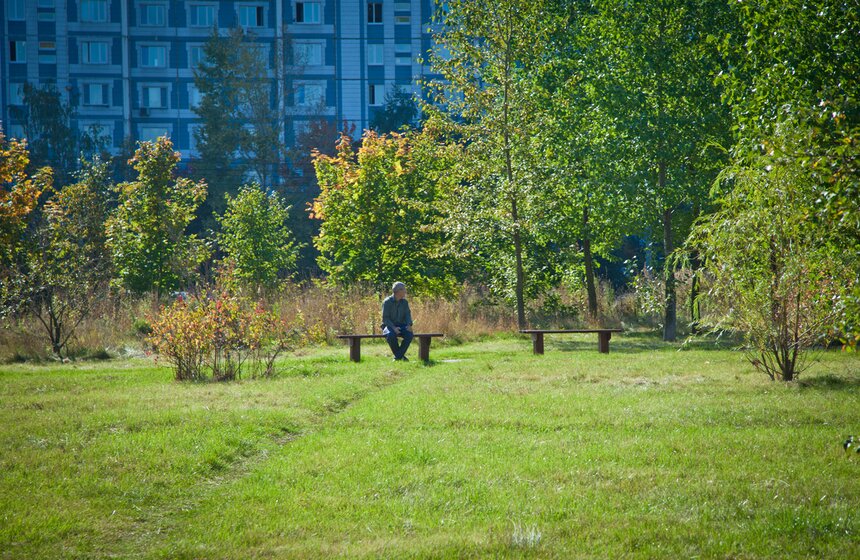 Акция по высадке деревьев в честь 25-летия ФАС 5 фото