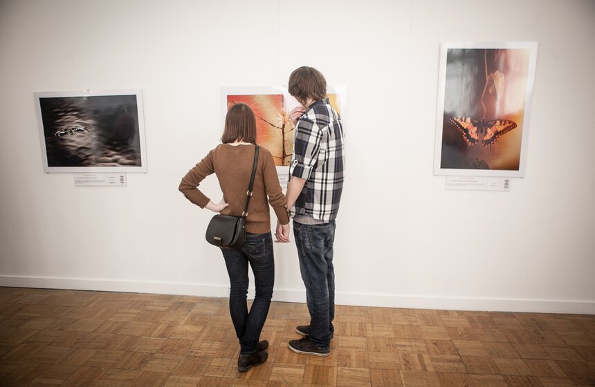 В ЦДХ проходит фестиваль дикой природы "Золотая черепаха" 2 фото