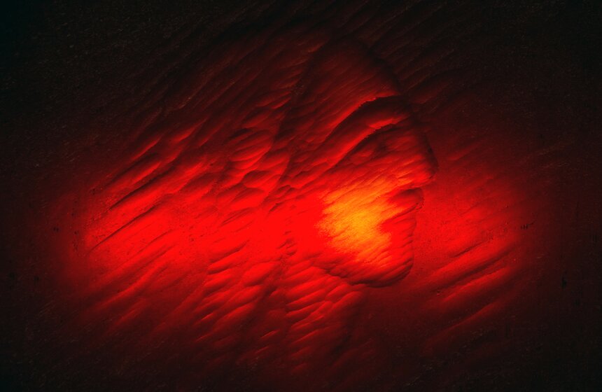 Выставка, посвященная поэту Андрею Белому, в музее Пушкина 19 фото