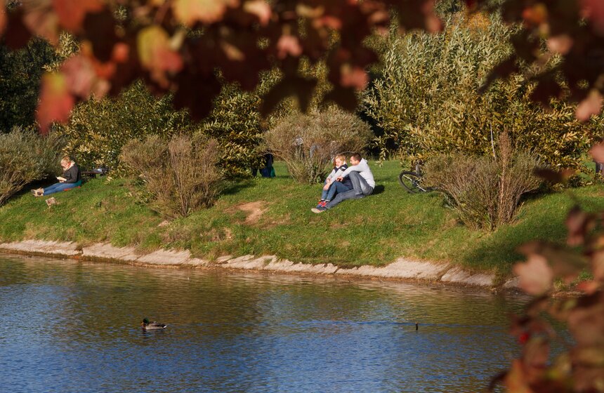 Осенние зарисовки: ВДНХ и парк "Останкино" 20 фото