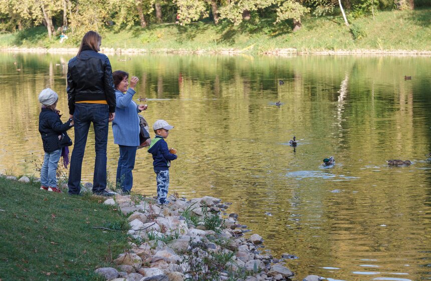 Осенние зарисовки: ВДНХ и парк "Останкино" 2 фото