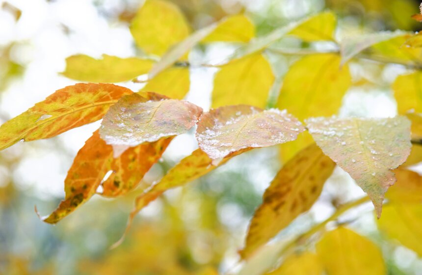 m24.ru/Александр Авилов