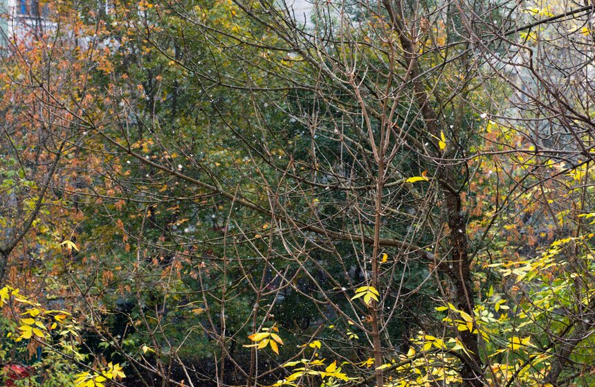 m24.ru/Игорь Иванко