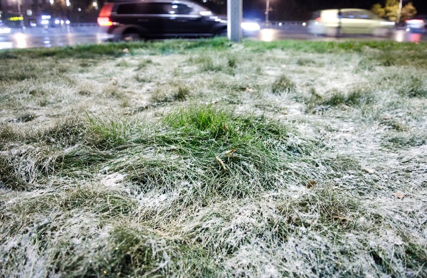 m24.ru/Александр Авилов