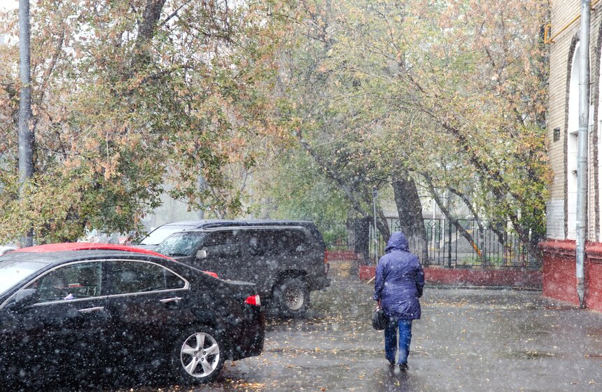 m24.ru/Александр Авилов