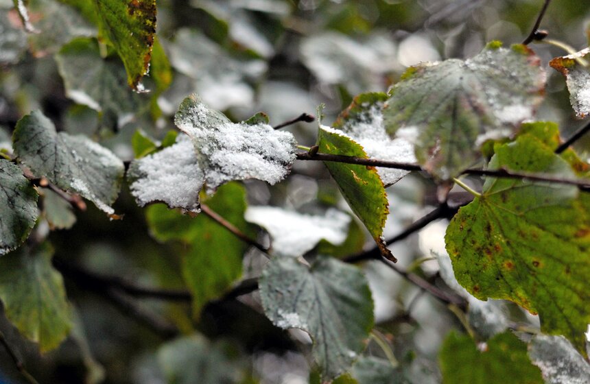 m24.ru/Игорь Иванко