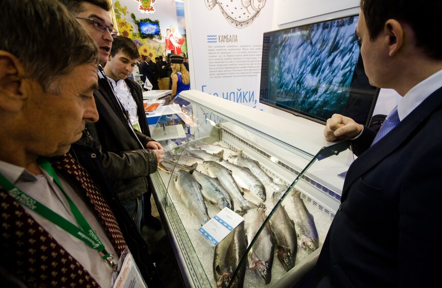 В "Крокус Экспо" открылась выставка "Золотая осень" 9 фото