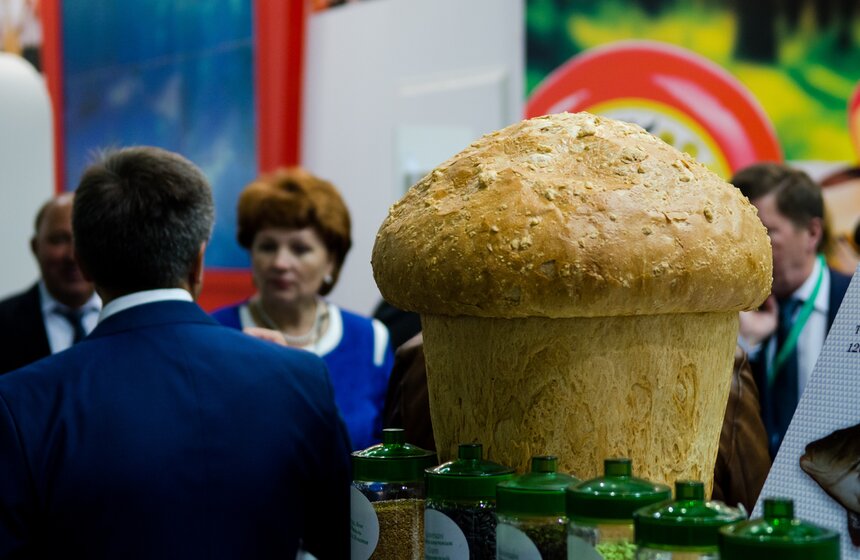 В "Крокус Экспо" открылась выставка "Золотая осень" 25 фото