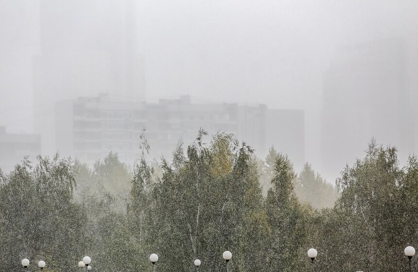 m24.ru/Лидия Широнина