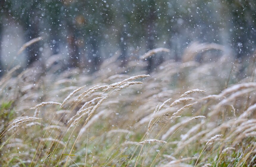 m24.ru/Лидия Широнина