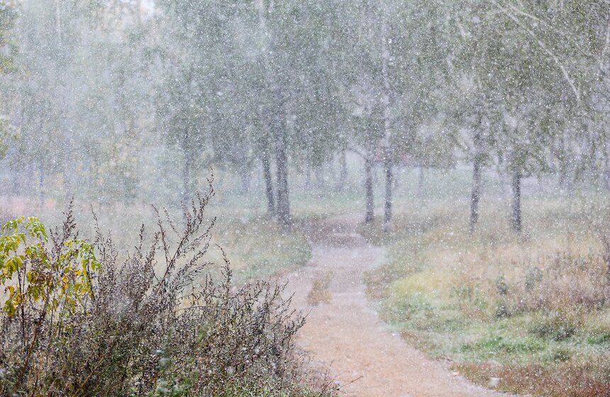 m24.ru/Лидия Широнина