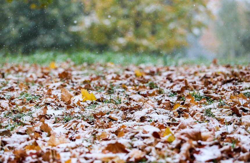 m24.ru/Лидия Широнина