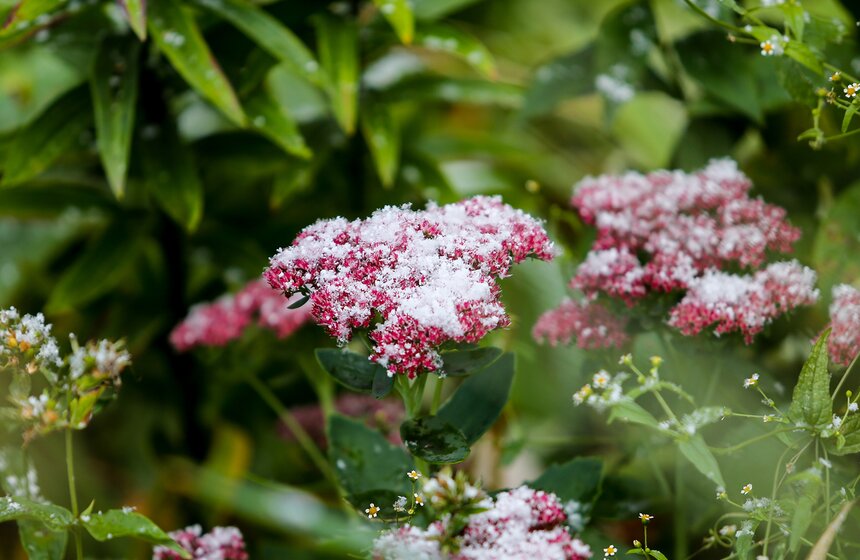 m24.ru/Лидия Широнина