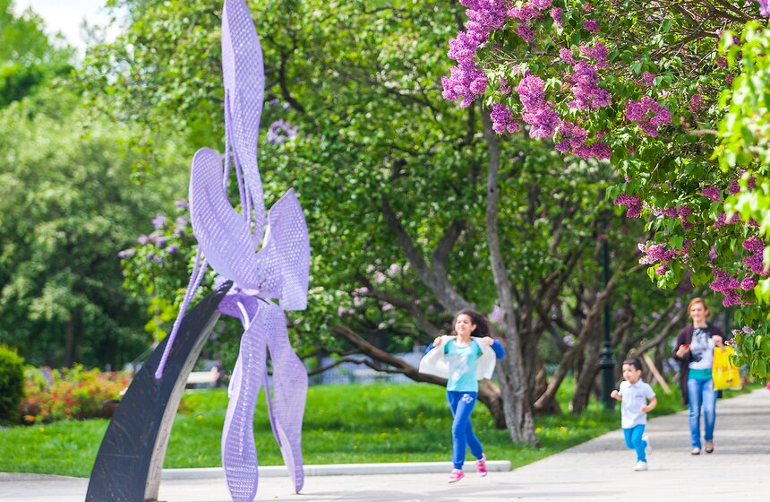 Благоустройство города: велодорожки, зеленые зоны и парки 12 фото