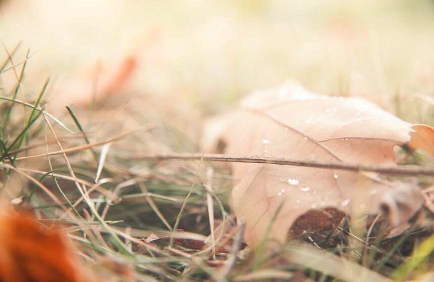 Осень в московских парках 2 фото