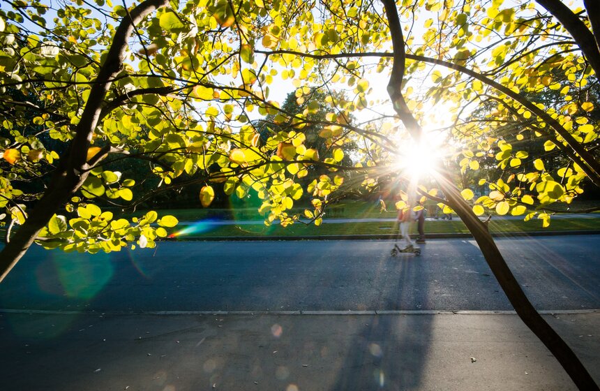 Осень в московских парках 9 фото