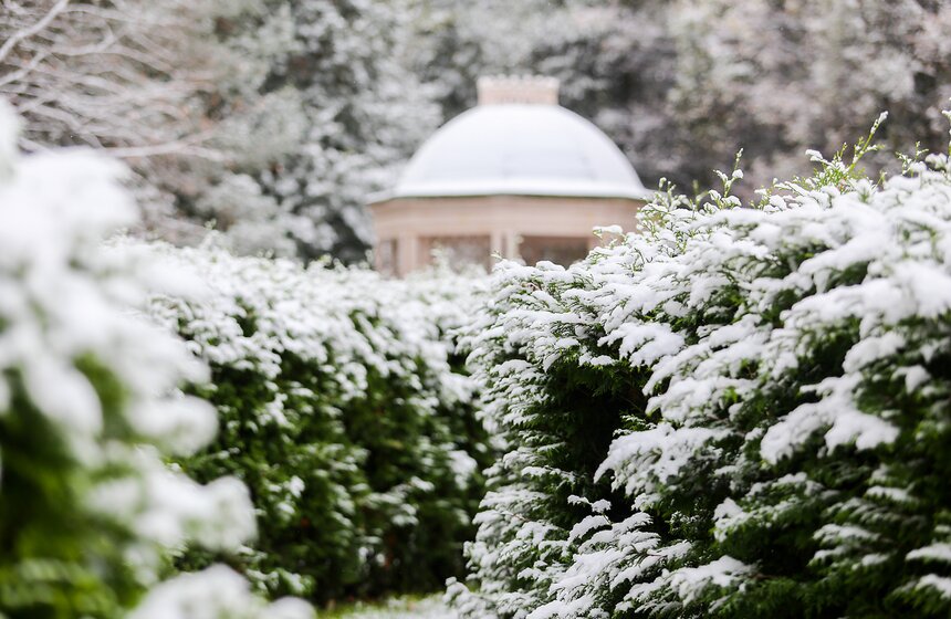 Фото: m24.ru/Лидия Широнина