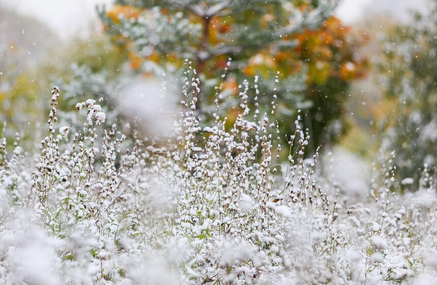 Фото: m24.ru/Лидия Широнина