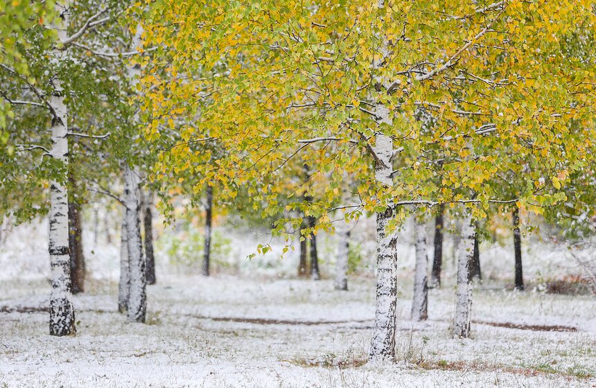 Фото: m24.ru/Лидия Широнина