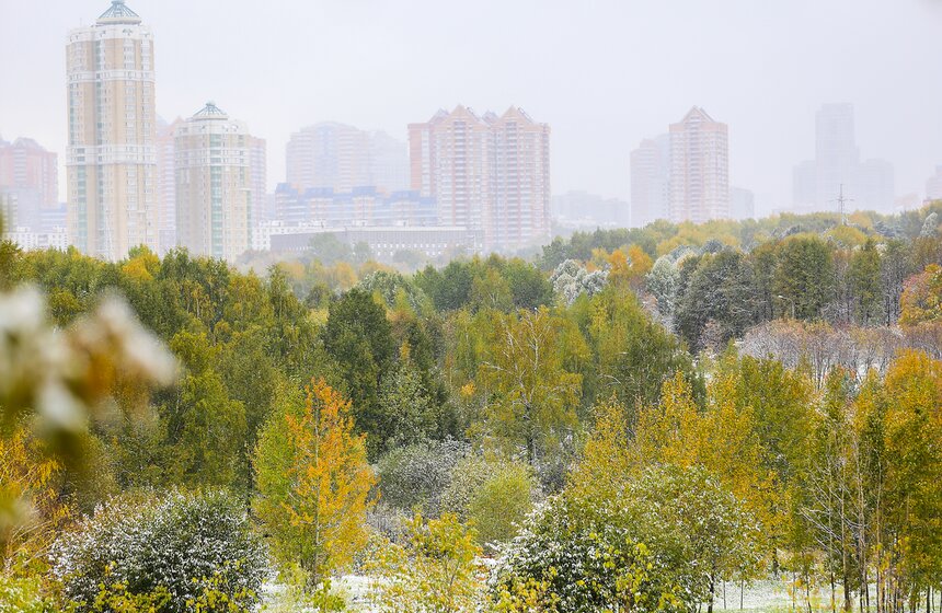 Фото: m24.ru/Лидия Широнина