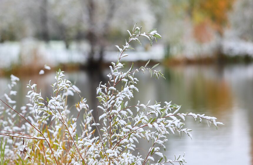 Фото: m24.ru/Лидия Широнина