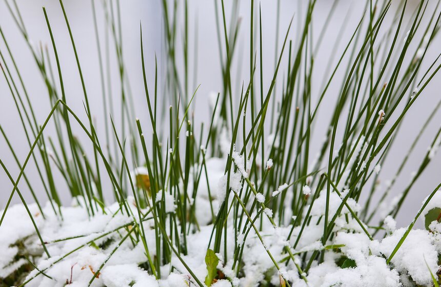 Фото: m24.ru/Лидия Широнина