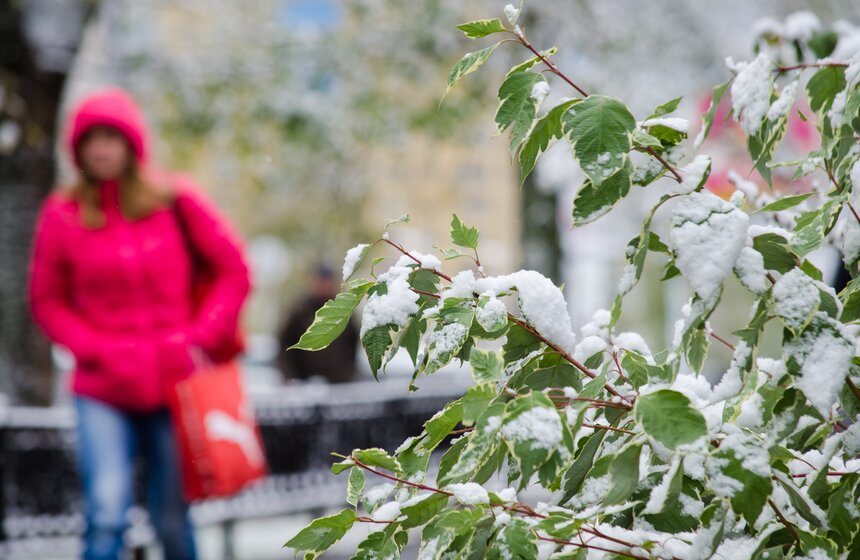 Фото: m24.ru/Александр Авилов