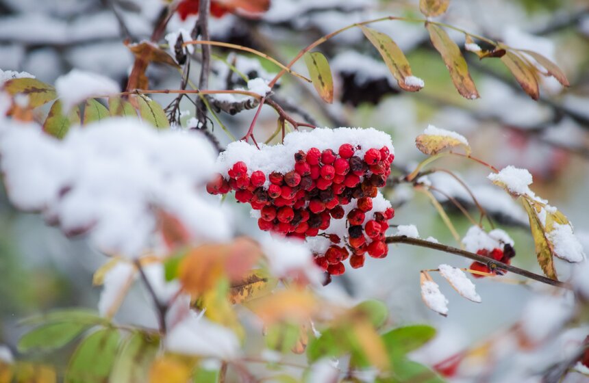 Фото: m24.ru/Александр Авилов