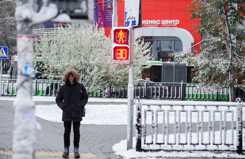 Фото: m24.ru/Александр Авилов